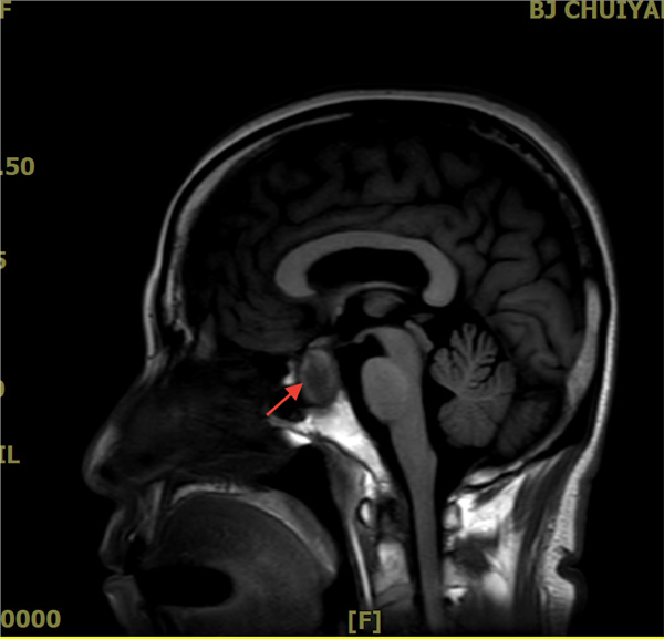 微信图片_2026-02-14_152247_211.jpg 微信图片_2026-02-14_152247_211.jpg