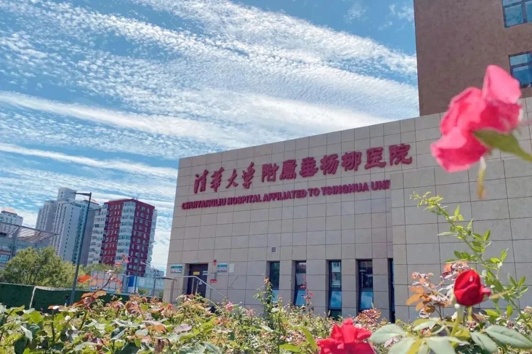 【垂医榜样】2025年第一季度优秀职工——在奉献中闪光的垂医人（一）