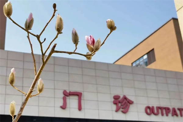 【患者之声】暖护微光映初心,温情守护夕阳红